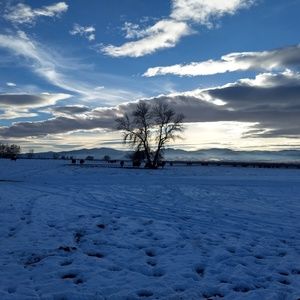 Meet your Posher, Tia